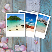 Полароиды 10X13 10 шт.